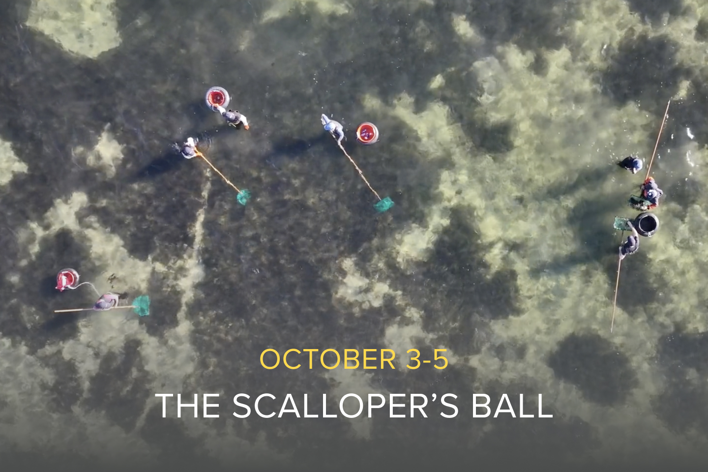 The Scallopers Ball banner, October 3 - 5, 2024