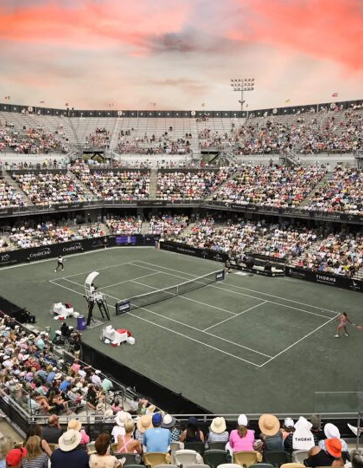 Credit One Stadium intro image