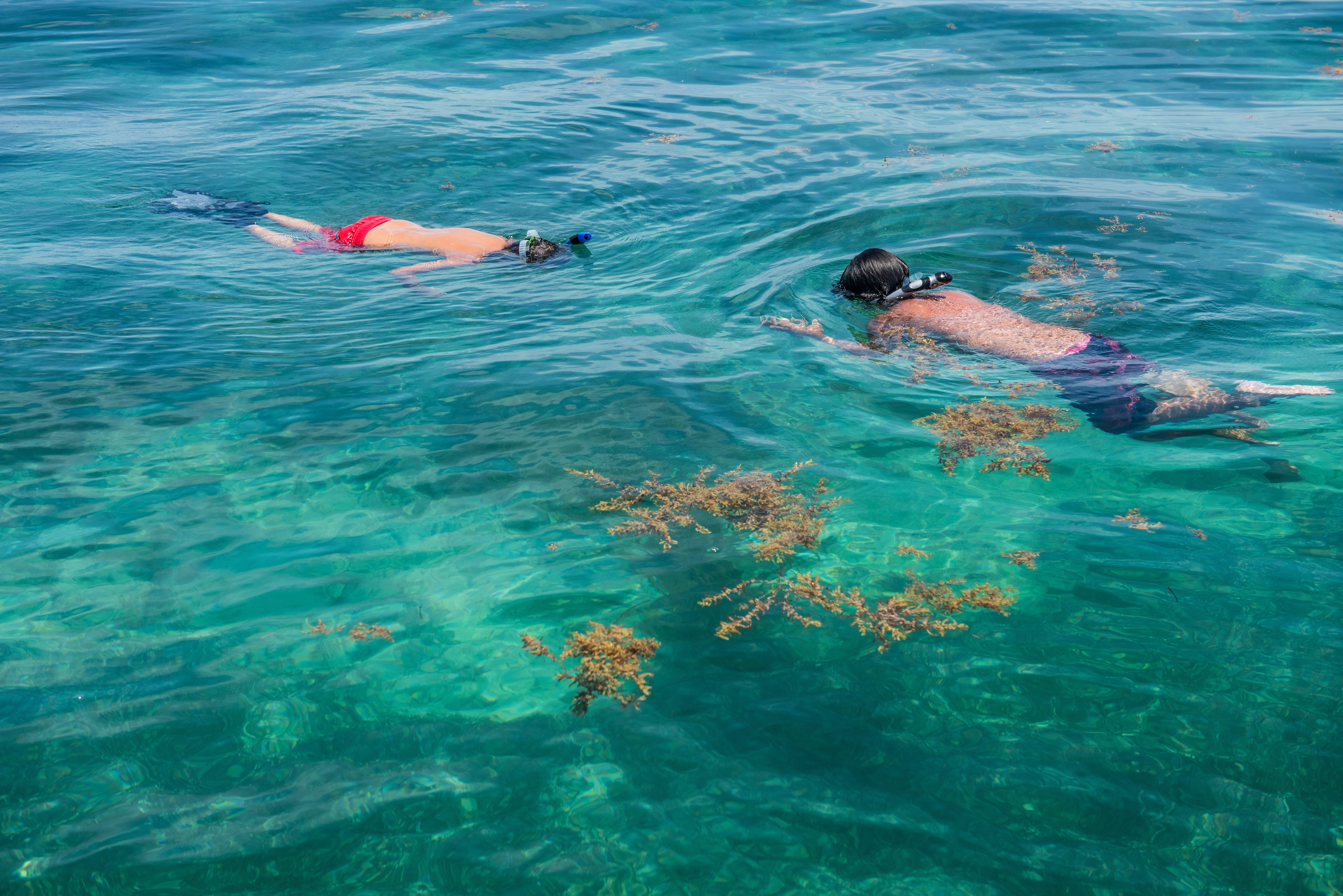 Snorkel at Vista Park Reef