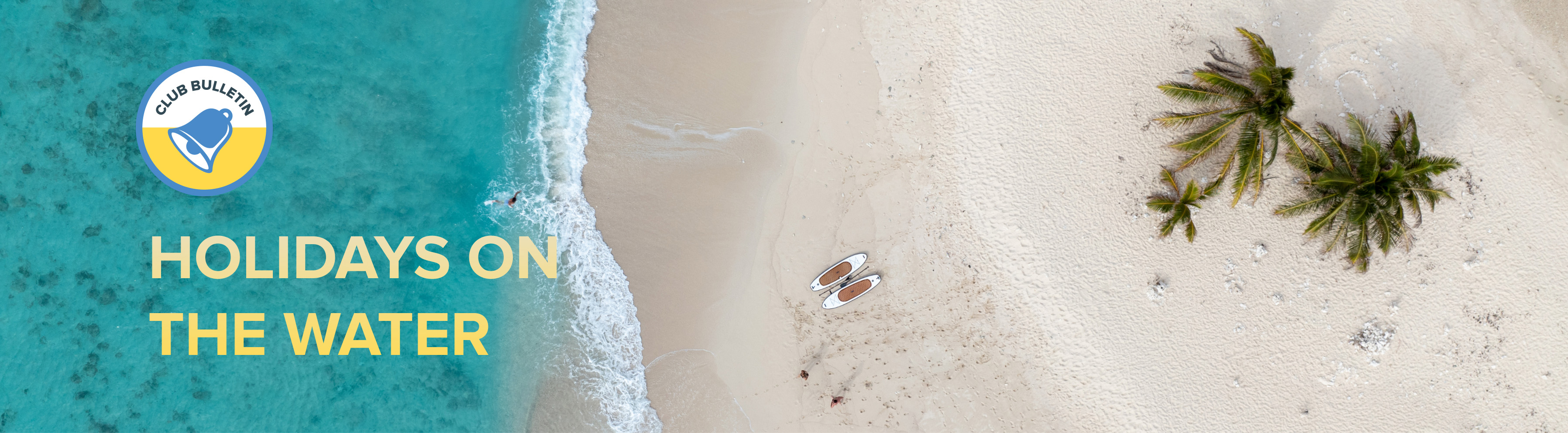 Aerial shot of two paddleboards resting on a beach near palm trees.