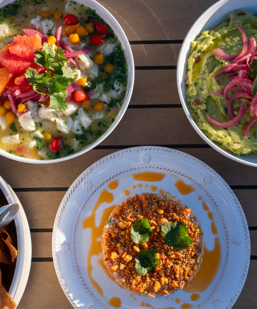 Elegant 3 plate ceviche spread.