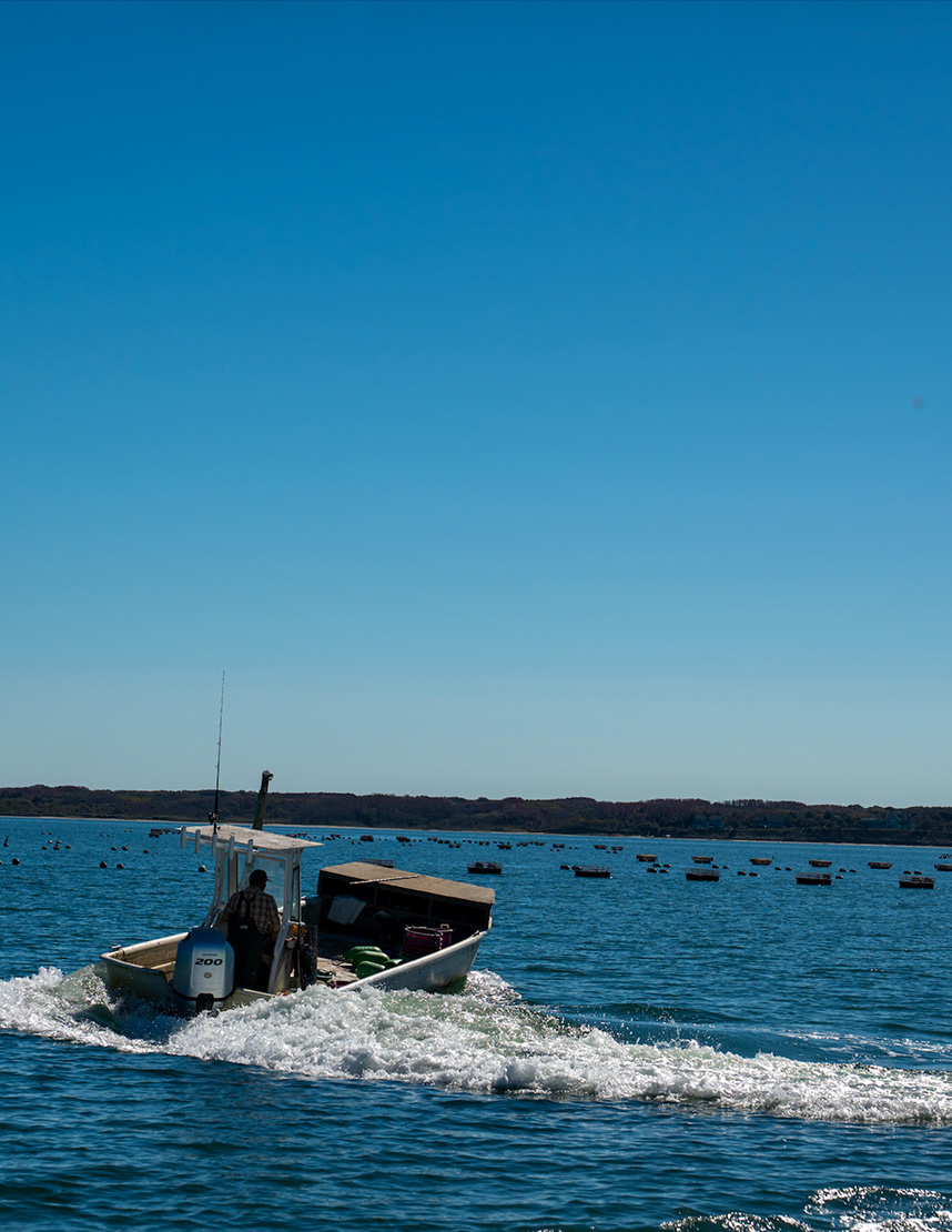 Fifth Bend Nantucket oysters served aboard a Barton & Gray yacht – premium seafood on the water
