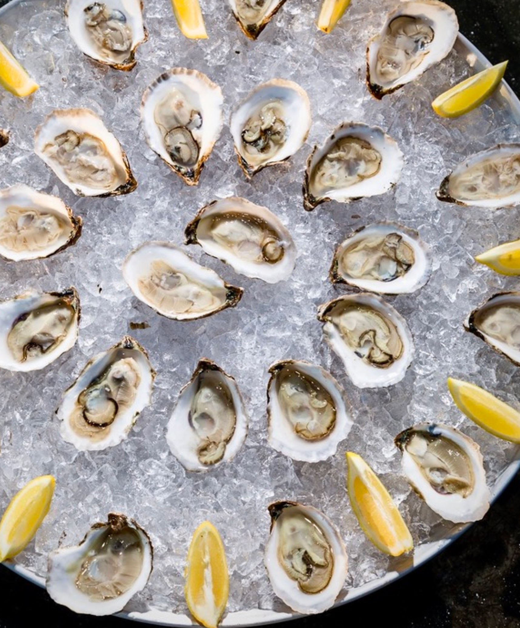 Oyster platter on ice with lemon wedges.