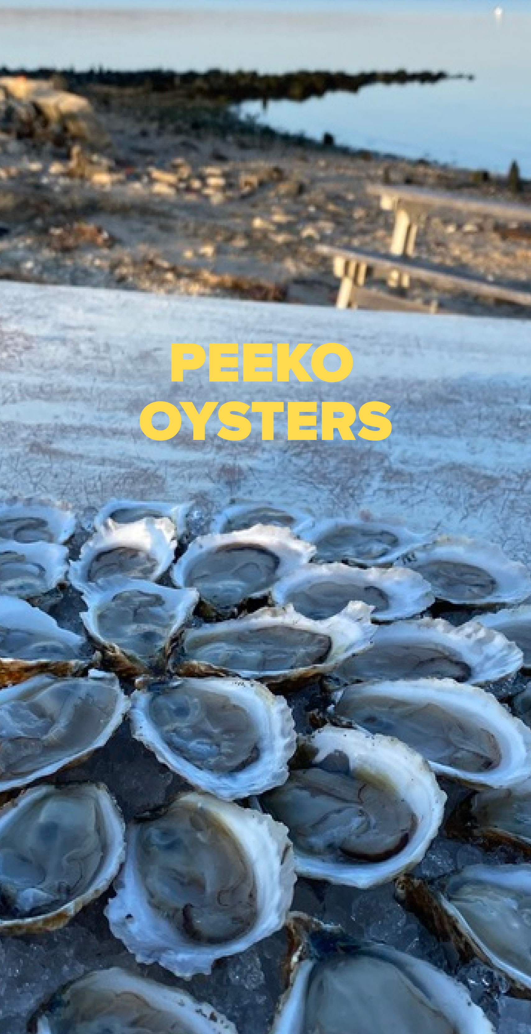 Oyster platter overlooking a jetty.