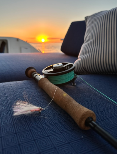 Fishing rod sunset